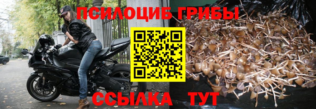 Псилоцибиновые грибы прущие грибы Братск