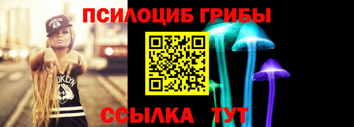 хочу наркоту  Галлюциногенные грибы Psilocybine cubensis  Вход с VPN  Братск 